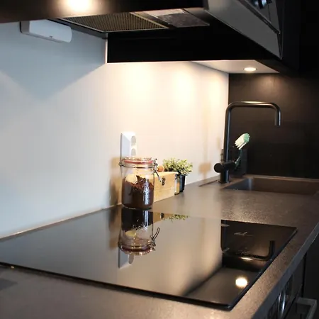 Moderne Toppleilighet I Apartment
